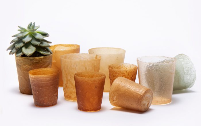 Shellworks trasforma gusci di aragoste scartate in oggetti bioplastici riciclabili