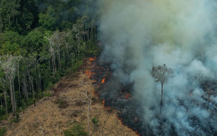 Greenpeace nuovi scenari sul nostro futuro ai tempi del Covid19