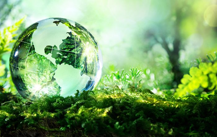 Come la tecnologia protegge la biodiversità nell'Antropocene