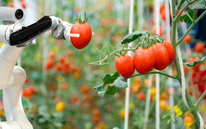 Agri-robot la rivoluzione dell’agricoltura parte dall’intelligenza artificiale