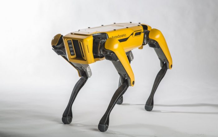 Spot arriva il cane robot da pascolo